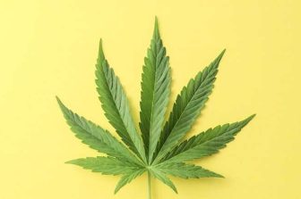 Hall of Fame Music Icon George Clinton to Launch ‘The FUNK’ by Khalifa Kush, Celebrating with Fans at Planet 13 Las Vegas on May 2, 2025