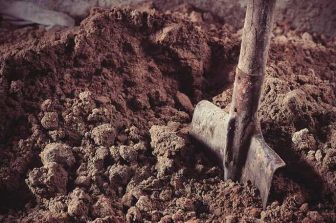 INTERNATIONAL BATTERY METALS LTD. ANNOUNCES JOSEPH A. MILLS AS CHIEF EXECUTIVE OFFICER AND DIRECTOR OF THE COMPANY