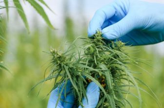 Aurora Cannabis Announces the Completion of a Multimillion Dollar Investment and Renaming of B.C. Manufacturing Facility