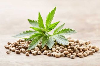 IM Cannabis to Report First Quarter 2025 Financial Results on Thursday, May 15th at 9:00am ET