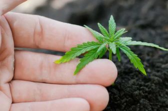 Edify Launches Premium CBD Hemp and Nootropic Gummies from the Bluegrass Region of Kentucky