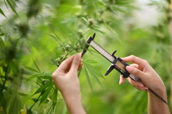 The Sanctuary Garden Cannabis Dispensary Opens on NYC’s Upper West Side, Rooted in Legacy and Local Impact