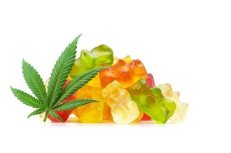 Elevate Holistics Highlights America’s “Green Workforce” Opportunity — CEO Aspen Noonan Calls for Skilled Talent to Drive the Cannabis Industry’s Next Phase