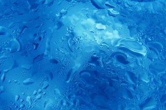 Nexus Agriscience Acquires Biotech Institute IP Portfolio, Expands Molecular Farming Platform for Natural Ingredient Markets