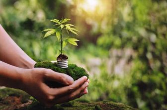 Curio Wellness Appoints Matt O’Neal as Regional President, Midwest