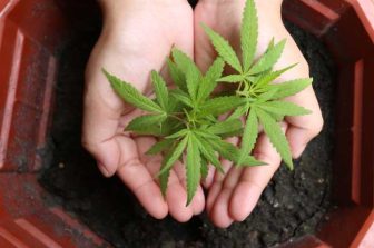 Trulieve Announces Closing of US$60 Million Private Placement of 10.5% Senior Secured Notes