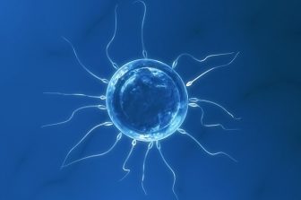 Aisa Pharma Announces Encouraging Results from Phase 2 RECONNOITER Trial of AISA-021 (Cilnidipine) in Patients with Systemic Sclerosis-Associated Raynaud’s Phenomenon