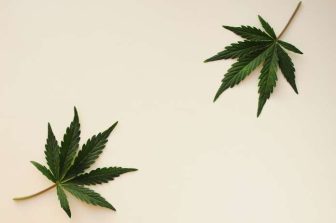 Kiva Sales & Service (KSS) Signs Letter of Intent to Combine with Petalfast, Creating California’s Most Powerful Cannabis Distribution Platform