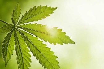 Trulieve to Open Medical Cannabis Dispensary in Lutz, Florida