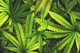Curaleaf Bolsters Florida Footprint with Two New Medical Dispensaries in Jacksonville Beach and Fernandina Beach