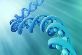 RYBODYN AWARDED $1.3M DOW GRANT TO ADVANCE NOVEL ANTIBODY THERAPIES FOR LUNG CANCER