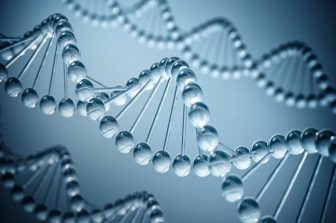Biomarkers Market worth $112.10 billion by 2031 | MarketsandMarkets™
