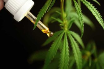 cbdMD’s Oasis Brand Partners with Mexcor to Launch Into South Carolina