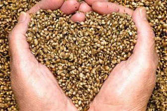 cbdMD Welcomes White House Call for Fair Treatment of Hemp-Derived Products